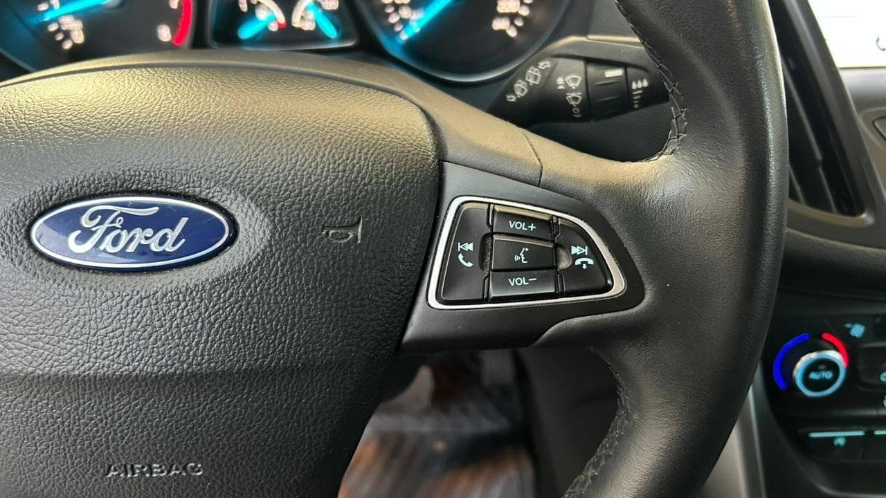 Vista 19
