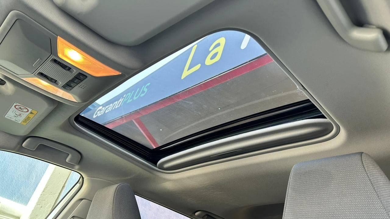 Vista 19