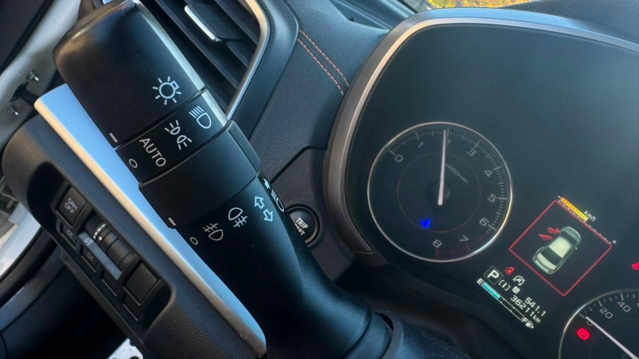 Vista 19