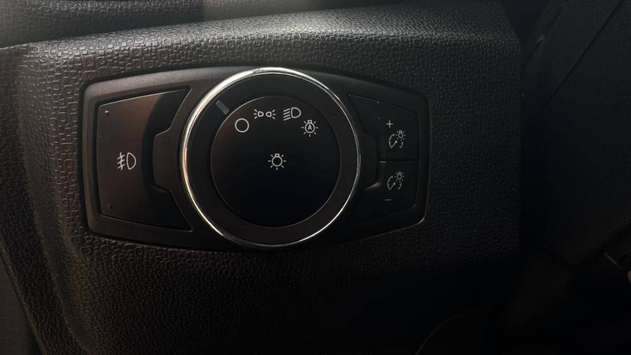 Vista 19