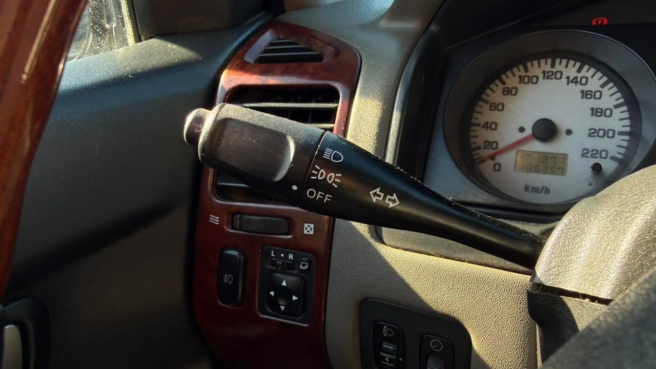 Vista 19
