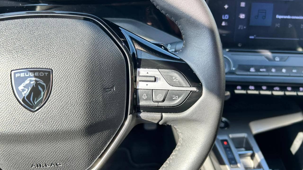 Vista 19