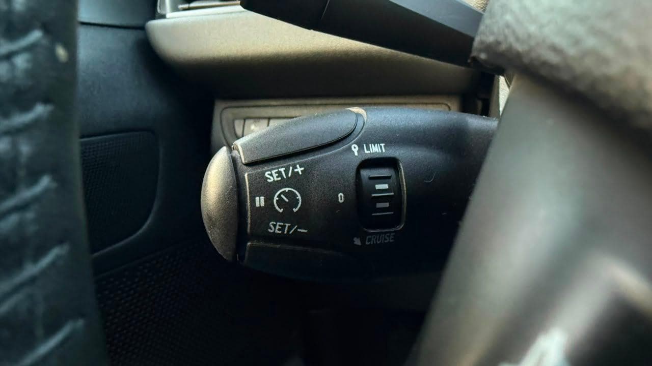 Vista 19