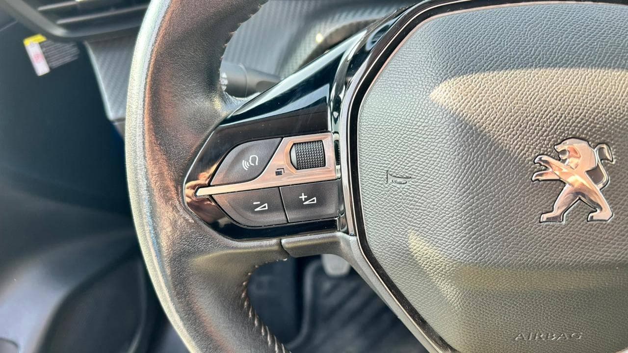 Vista 19