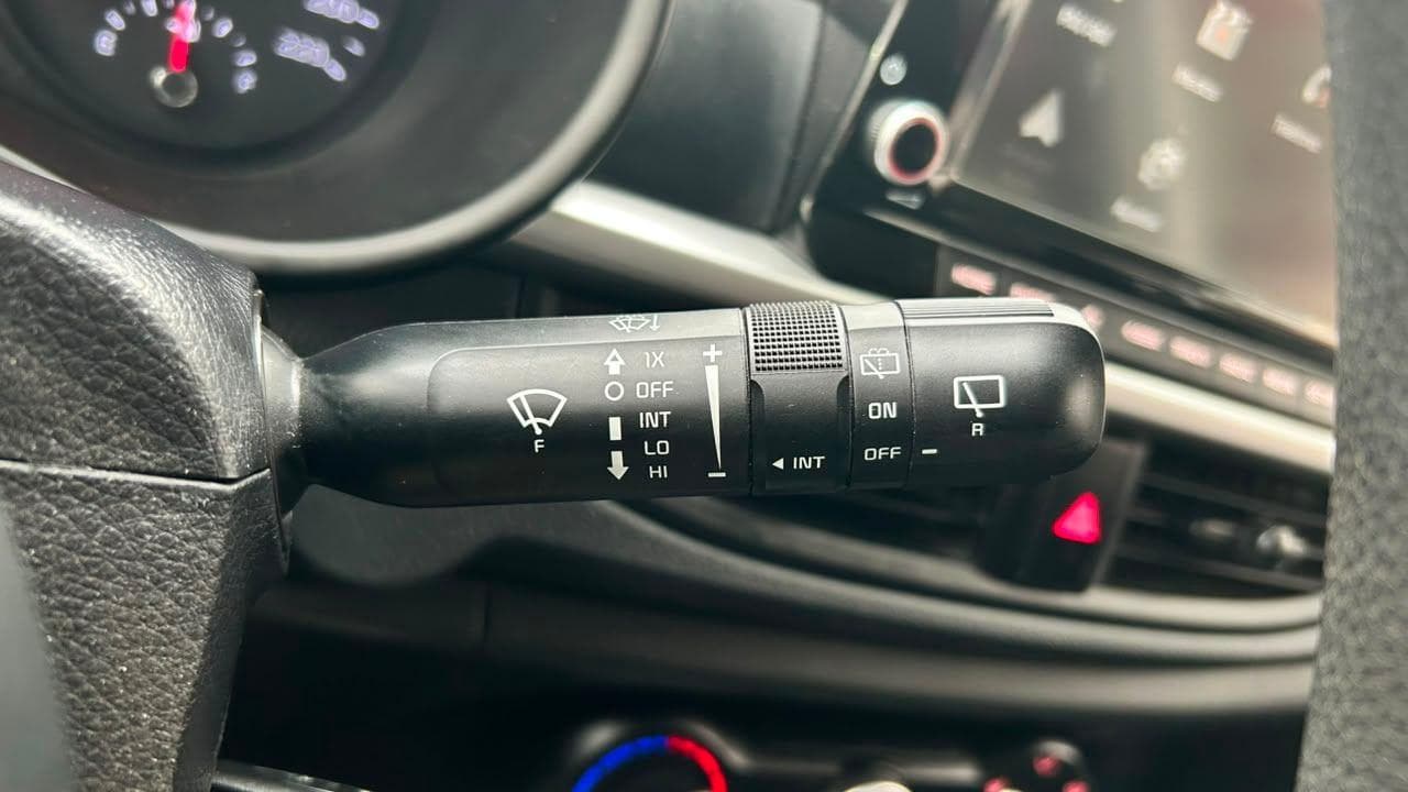 Vista 19