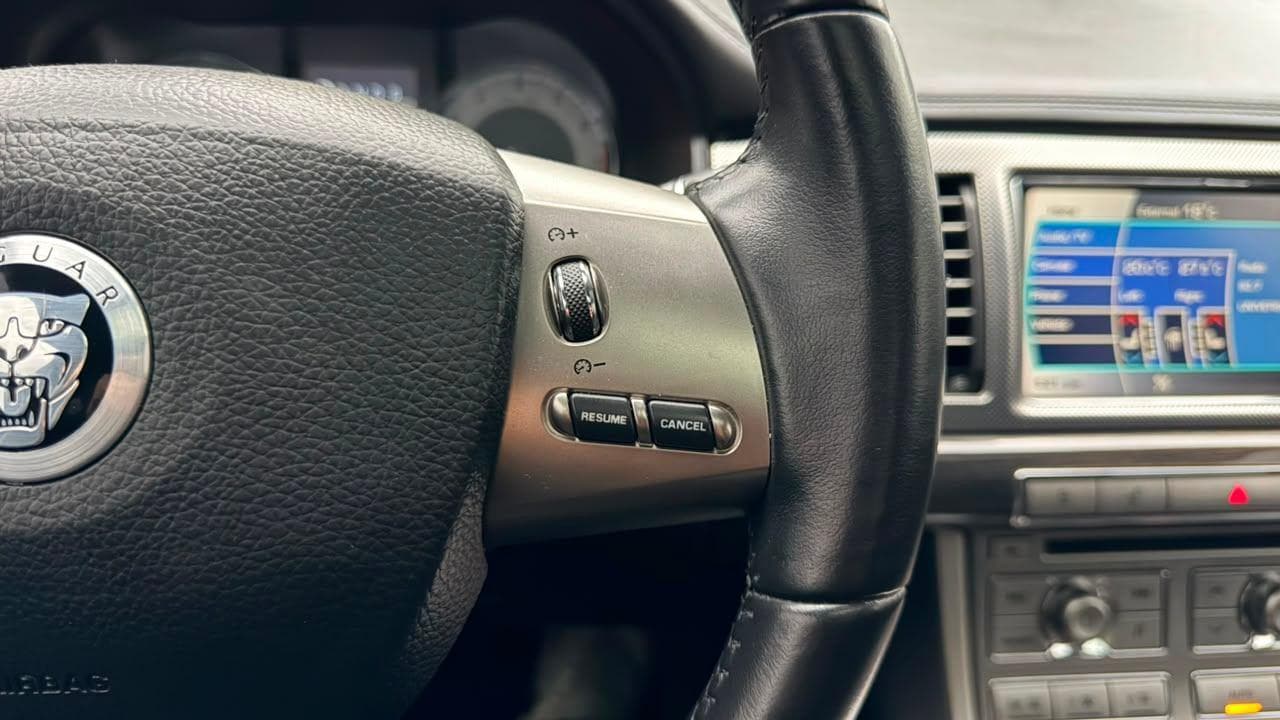 Vista 19