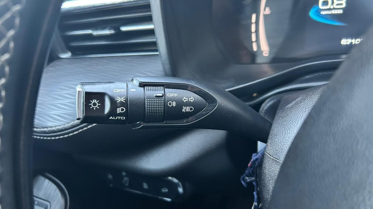 Vista 19