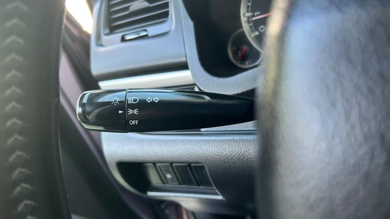 Vista 19