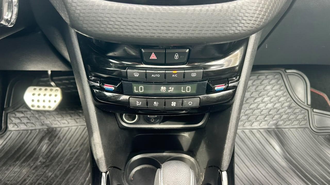 Vista 19
