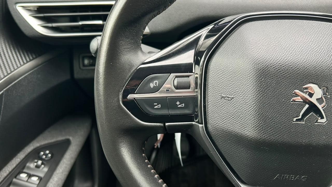 Vista 19