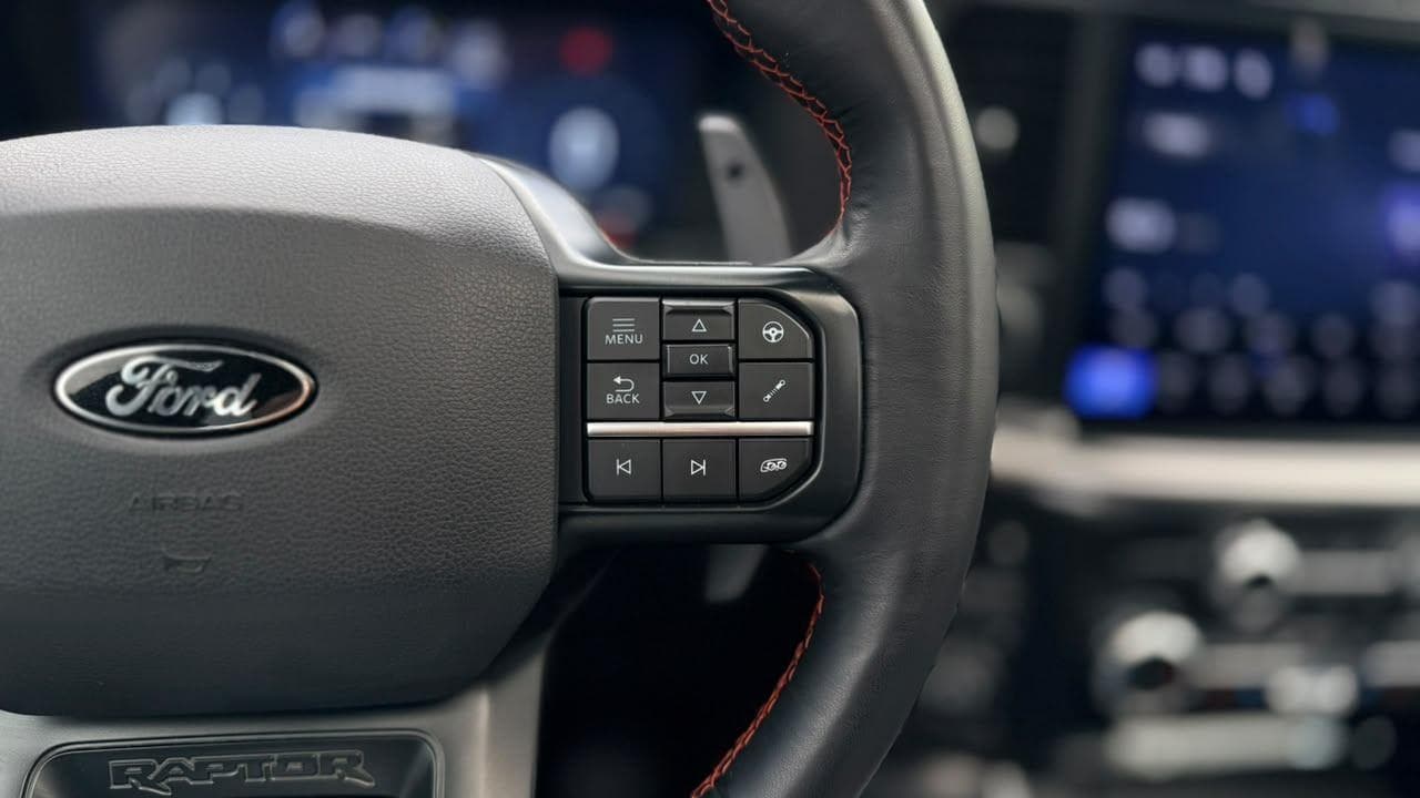 Vista 25