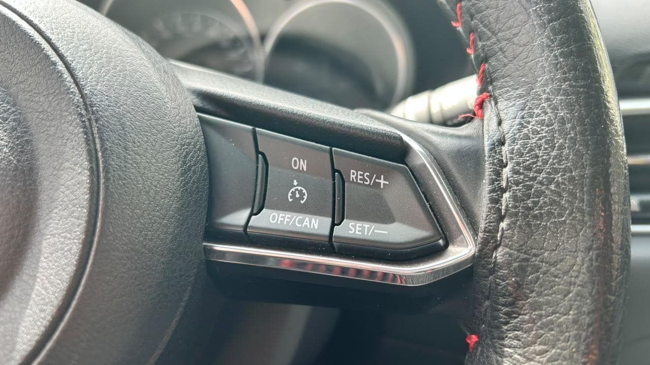 Vista 19